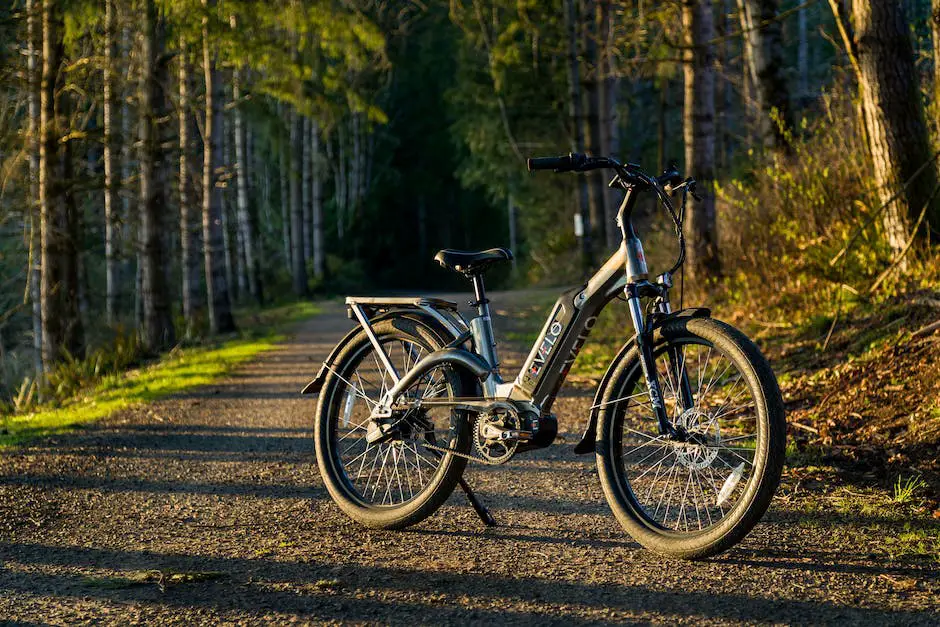 An image depicting a person riding an e-bike through a scenic trail in nature.