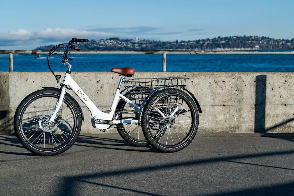 Comparison of an electric trike and e-bike, highlighting their differences